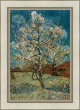 Peach Tree In Blossom