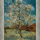 Peach Tree In Blossom
