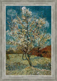 Peach Tree In Blossom