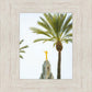 Hosanna!