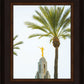 Hosanna!