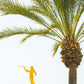 Hosanna!