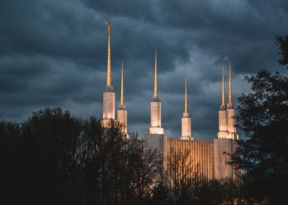 A Beacon in the Night Washington DC