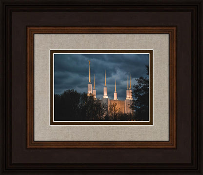 A Beacon in the Night Washington DC