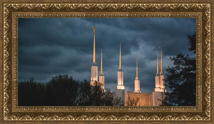 A Beacon in the Night Washington DC