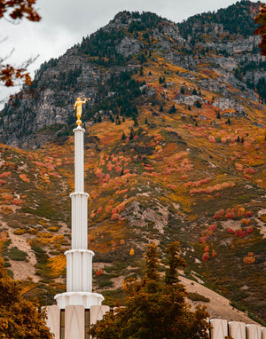 Love Unchanging Provo Temple