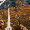 Love Unchanging Provo Temple