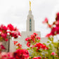 Made Whole Again Draper Temple
