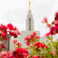 Made Whole Again Draper Temple