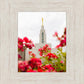 Made Whole Again Draper Temple