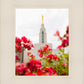 Made Whole Again Draper Temple