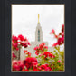 Made Whole Again Draper Temple