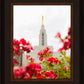 Made Whole Again Draper Temple