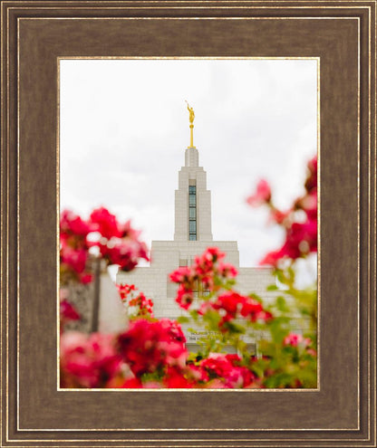 Made Whole Again Draper Temple