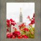 Made Whole Again Draper Temple