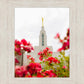 Made Whole Again Draper Temple