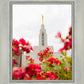 Made Whole Again Draper Temple