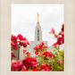 Made Whole Again Draper Temple