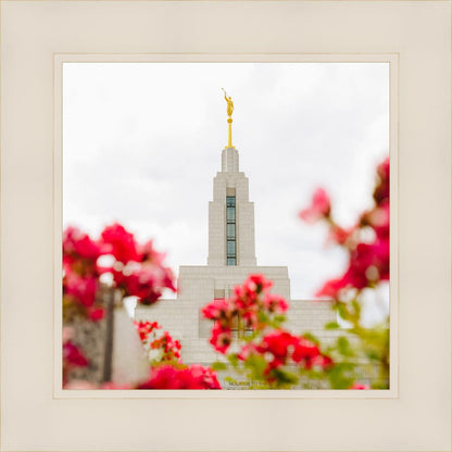 Made Whole Again Draper Temple