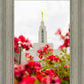 Made Whole Again Draper Temple