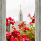 Made Whole Again Draper Temple