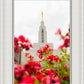 Made Whole Again Draper Temple