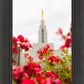 Made Whole Again Draper Temple