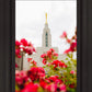 Made Whole Again Draper Temple
