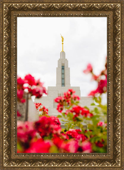 Made Whole Again Draper Temple