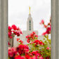 Made Whole Again Draper Temple