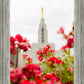 Made Whole Again Draper Temple
