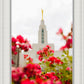 Made Whole Again Draper Temple