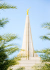 Wrapped in His Glory Gilbert Temple