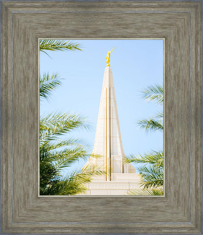 Wrapped in His Glory Gilbert Temple