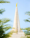 Wrapped in His Glory Gilbert Temple