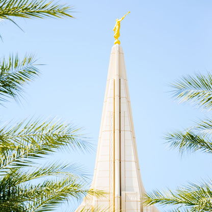 Wrapped in His Glory Gilbert Temple