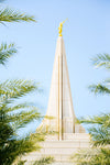 Wrapped in His Glory Gilbert Temple