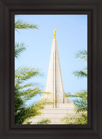 Wrapped in His Glory Gilbert Temple