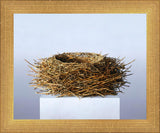 Nest