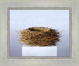 Nest