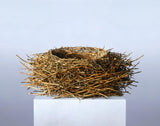 Nest