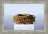 Nest