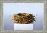 Nest