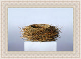 Nest