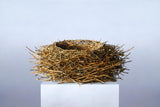 Nest