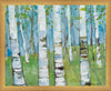 Spring Aspens