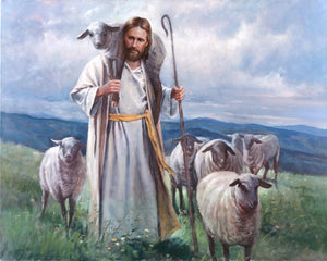 Good Shepherd