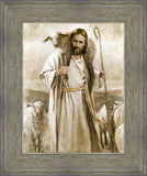 Good Shepherd