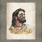 The Strength of Christ