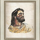 The Strength of Christ